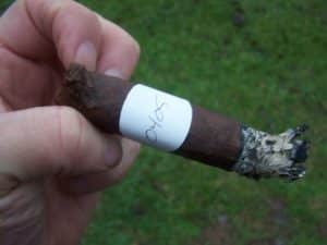 Blind Cigar Review: Murcielago | Noir