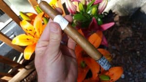 Blind Cigar Review: Mbombay | KeSara Vintage Reserve Nikka