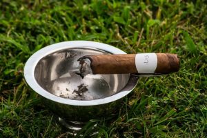 Blind Cigar Review: Tabaqueria 1844 | Campesino Series Toro