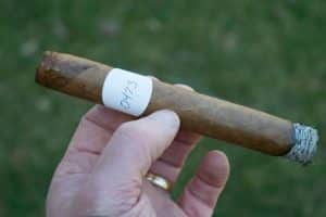 Blind Cigar Review: #Famous | Toro