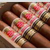 Hoyo de Monterrey Grand Epicure