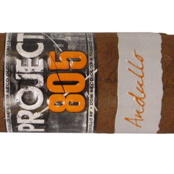 Blind Cigar Review: Ventura Cigars | Project 805 Toro