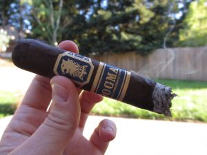 Quick Cigar Review: Undercrown | Dogma