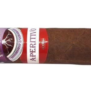 Blind Cigar Review: Bodega | Reunión Aperitivo Corona Gorda