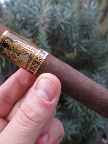 Quick Cigar Review: Enki Toro