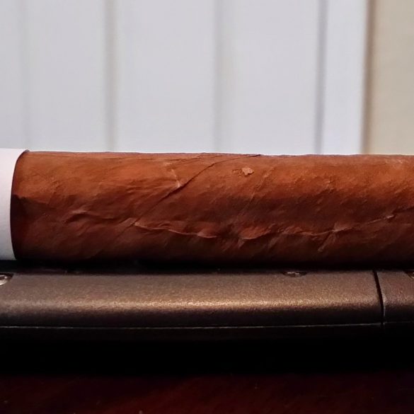 Blind Cigar Review: What Emgarbo? | Mystery Cuban Cigar #1