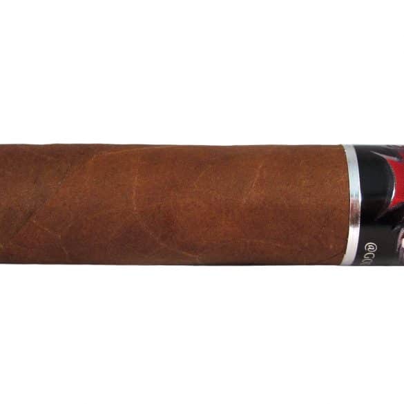 Blind Cigar Review: Nomad | Esteli Lot 8613 Toro