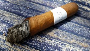 Blind Cigar Review: Cohiba (Cuba) | Siglo VI