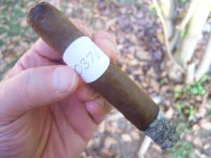 Blind Cigar Review: Partagas | Aniversario Robusto (Pre-release)