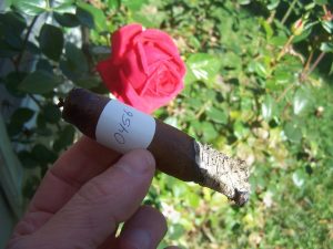 Blind Cigar Review: Foundation | El Güegüense Torpedo