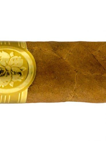 Blind Cigar Review: Room 101 | Master Collection Two Roxxo