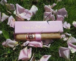 Cigar News: Southern Draw Cigars Ships the Rose of Sharon