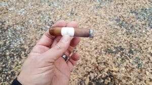 Blind Cigar Review: PDR | A. Flores Gran Reserva Habano Half Corona