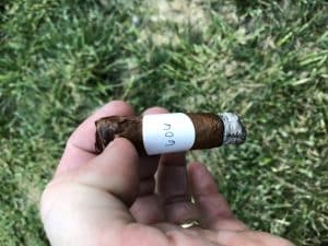 Blind Cigar Review: Ventura | Archetype Initiation Corona