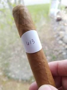 Blind Cigar Review: Crowned Heads | Luminosa Toro