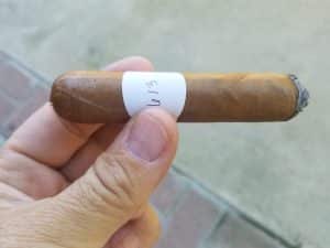 Blind Cigar Review: Crowned Heads | Luminosa Toro