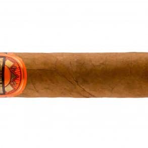 Blind Cigar Review: Crowned Heads | Luminosa Toro