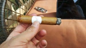 Blind Cigar Review: Villiger | San'Doro Claro Toro