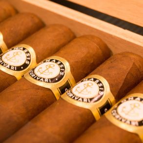 IPCPR 2017 - Curivari - Blind Man's Puff