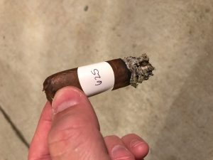 Blind Cigar Review: AVO Syncro South America Ritmo Toro