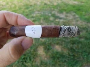 Blind Cigar Review: Partagas | Heritage Robusto