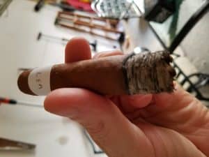 Blind Cigar Review: Island Lifestyle (Tommy Bahama) | Aged Reserve Sungrown Toro