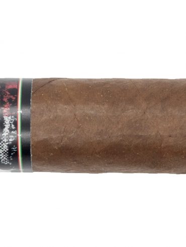 Blind Cigar Review: Emilio | LJZ Robusto