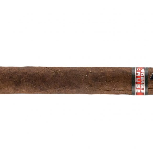 Blind Cigar Review: Cubariqueño | Protocol Probable Cause Lancero