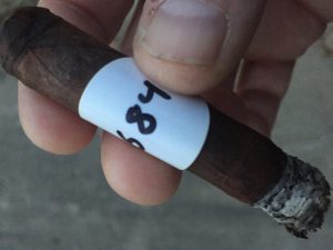 Blind Cigar Review: Cubariqueño | Protocol Probable Cause Lancero