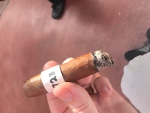 Blind Cigar Review: Fleur De La Reine | Natural Cinq