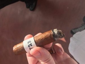 Blind Cigar Review: Fleur De La Reine | Natural Cinq