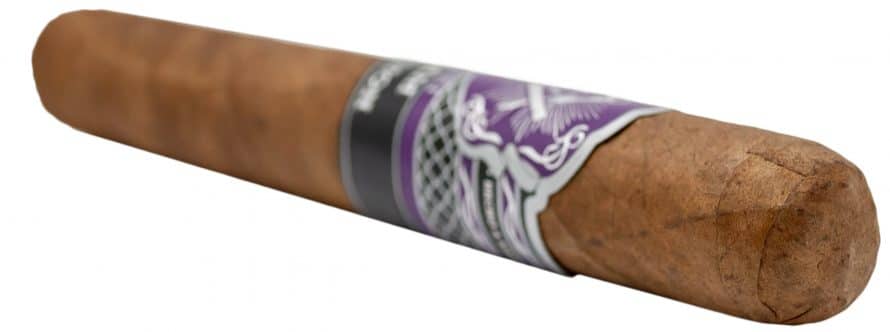 Blind Cigar Review: Hiram & Solomon | Traveling Man Toro