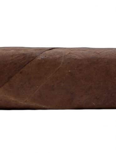 Blind Cigar Review: Regius | Black Label Corona