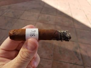 Blind Cigar Review: Cubariqueño | Protocol Official Misconduct Toro