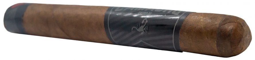 Blind Cigar Review: Camacho | Coyolar Super Toro