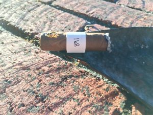 Blind Cigar Review: Cohiba | Connecticut Robusto