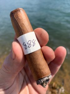 Blind Cigar Review: Ventura | Archetype Crystals Robusto