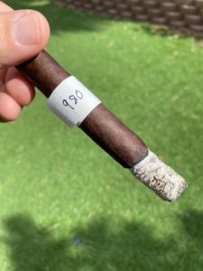 Blind Cigar Review: Camaleon | Huevo de Oro Corona Gorda