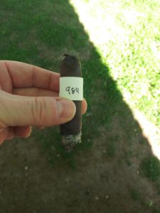 Blind Cigar Review: Ventura | Archetype Chapter 3 Sacred Scales Robusto