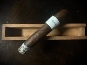 Blind Cigar Review: Ventura | Archetype Chapter 3 Sacred Scales Robusto