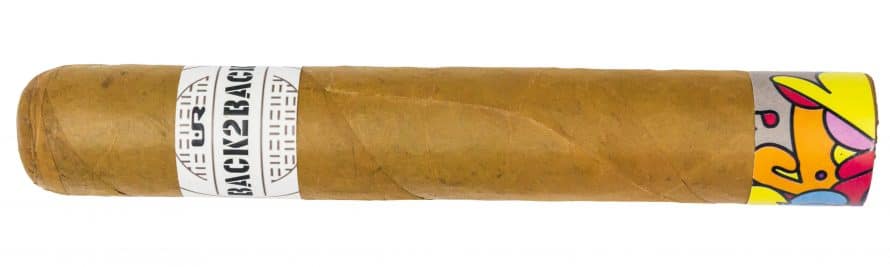 Blind Cigar Review: Back2Back | Connecticut 6 x 60