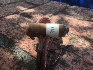 Blind Cigar Review: Maya Selva | Villa Zamorano Reserva Robusto