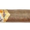 Blind Cigar Review: Gurkha | Marquesa Toro