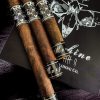 Cigar News: Black Label Trading Company Ships Morphine 2020