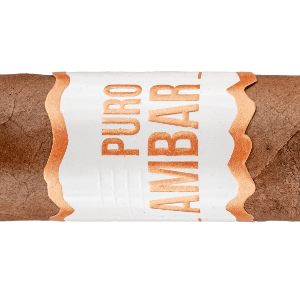 Blind Cigar Review: El Artista | Puro Ambar Robusto