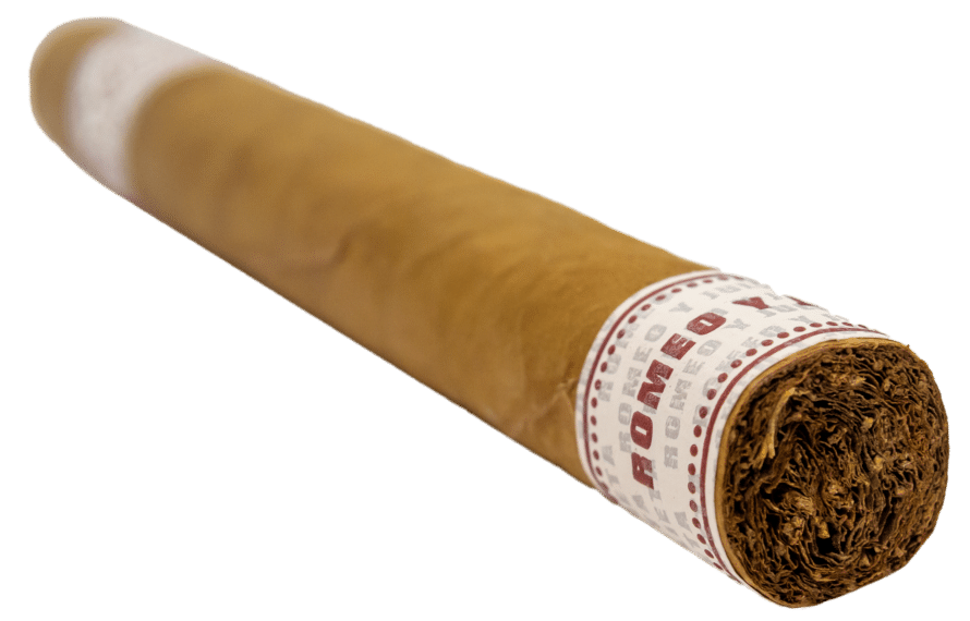 Romeo y Julieta House of Capulet Churchill - Blind Cigar Review