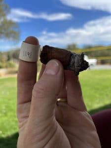 Saga Short Tales Tomo II-Tales of the Land: Cotuí - Blind Cigar Review