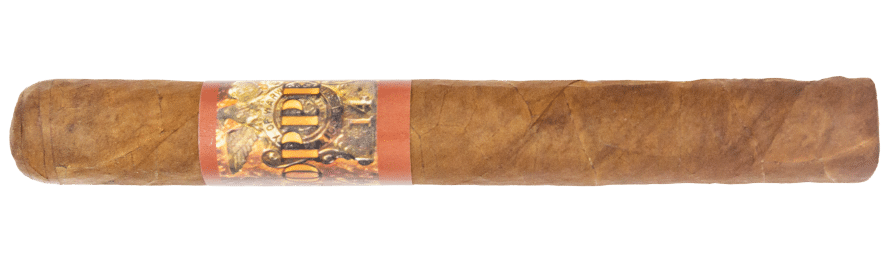 Protocol Coppers - Blind Cigar Review