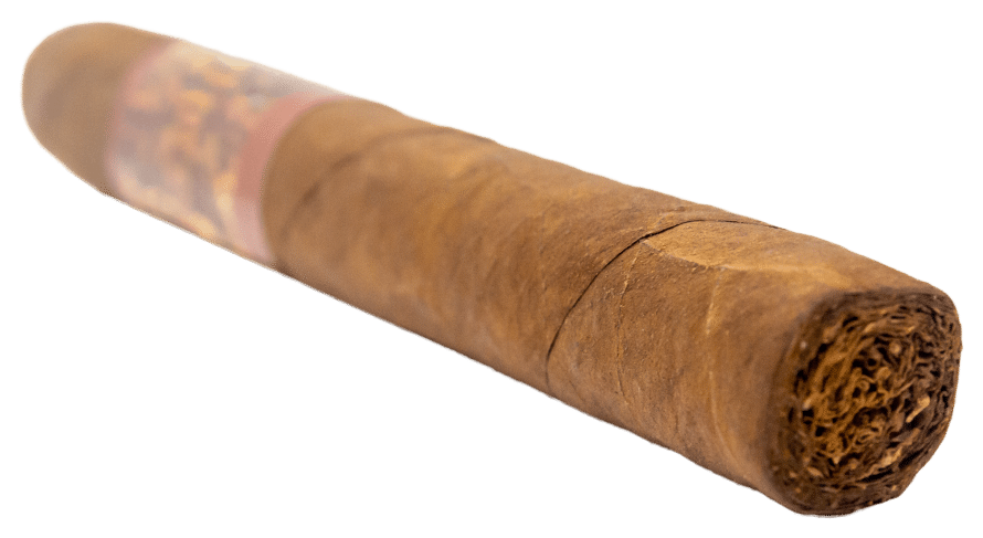 Protocol Coppers - Blind Cigar Review