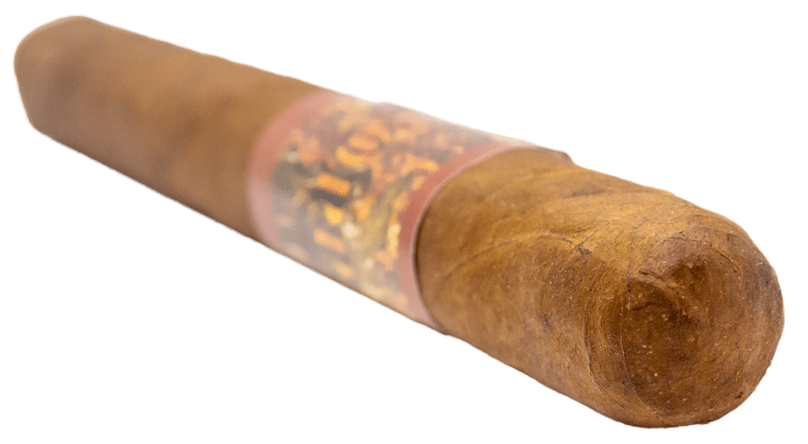 Protocol Coppers - Blind Cigar Review